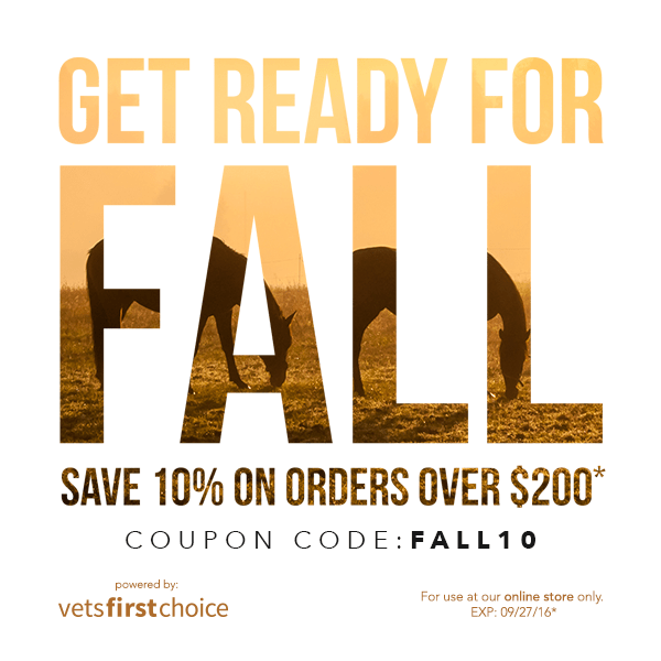 imageseptember_equine_week_4_facebook