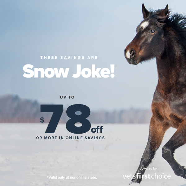 Feb_Equine_B_wk1_FB